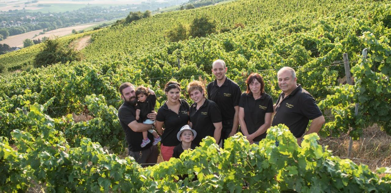 Weinschloesschen Im Weingut Roos Hotell Ilbesheim Exteriör bild